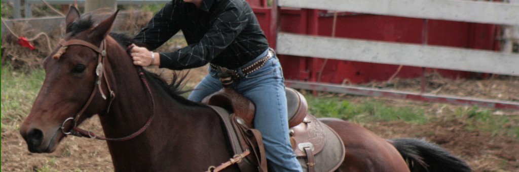 Barrel_Racing_by_newdystock