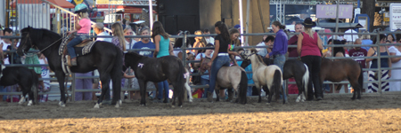 statefair_exhibit