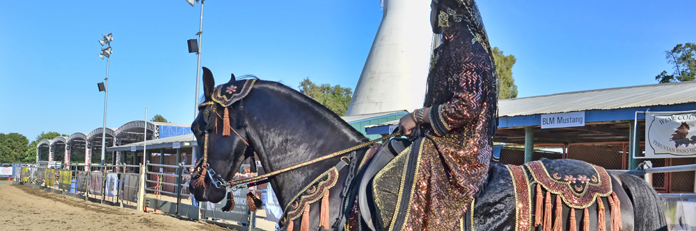 arabianrider