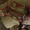Vintage Show Halter with Sterling