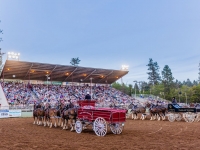 Draft Horse Classic at the Nevada County Fairgrounds | Lenkaland Photography