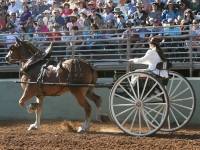 Photo 11 (Laurie Ann Martin Photography)