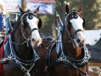 Photo 13 (Laurie Ann Martin Photography)