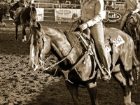 7188641067_ae42dcddb9_o