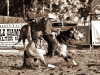 7188641959_c0af2a87f7_o