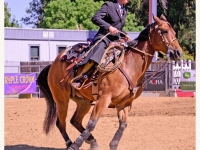 7188643225_e17f4b3b8d_o