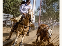 7188647099_1c357c3d34_o