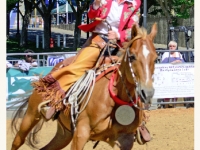 7188648981_948d77a3ba_o