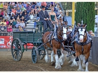 7188655223_c447261ee3_o