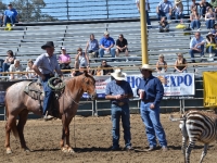 7188694997_983ba4fbe0_o