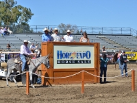 7188695953_09f2eb21d1_o