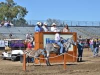 7188696365_98aba52ba1_o