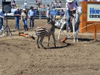 7188696887_040c7625e1_o