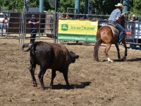 7188703523_627212076c_o