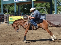 7188703977_48fe00eb87_o