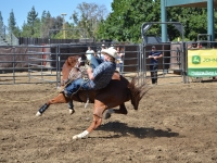 7188704437_d20136ef8b_o