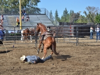 7188705889_1fc2d0db3c_o