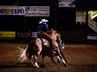 7373875974_3697677f14_o