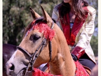 7373877256_e47e54afd4_o