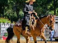 7373877500_d3a641a5e4_o