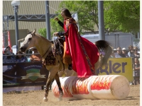 7373878114_8da4a6c19d_o