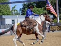 7373880256_1e32351963_o