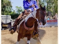 7373880372_ef17cc0b54_o