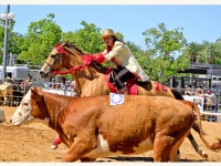 7373882620_6b09969f02_o