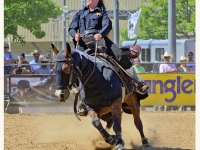 7373883244_71ca017c3c_o