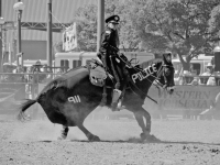 7373883792_d5a965eb7e_o