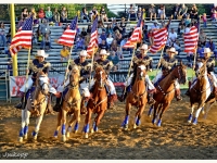 7373887308_73c44b4197_o