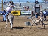 7373927918_9f3e43360e_o