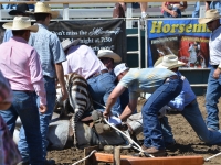 7373931110_e9d3ea21f1_o