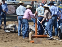 7373932964_790bb21c27_o