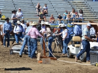 7373933452_e2928228ca_o