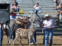 7373934468_d95f5797c4_o