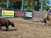 7373938144_dc9c70b6d6_o