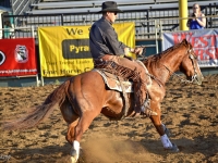 7399245782_1a825cd773_o