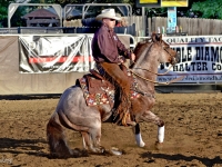 7399248230_2e4db69ecc_o