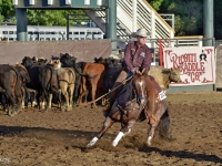 7399248632_b56ab2829c_o