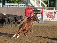 7399249914_cb85fae87a_o